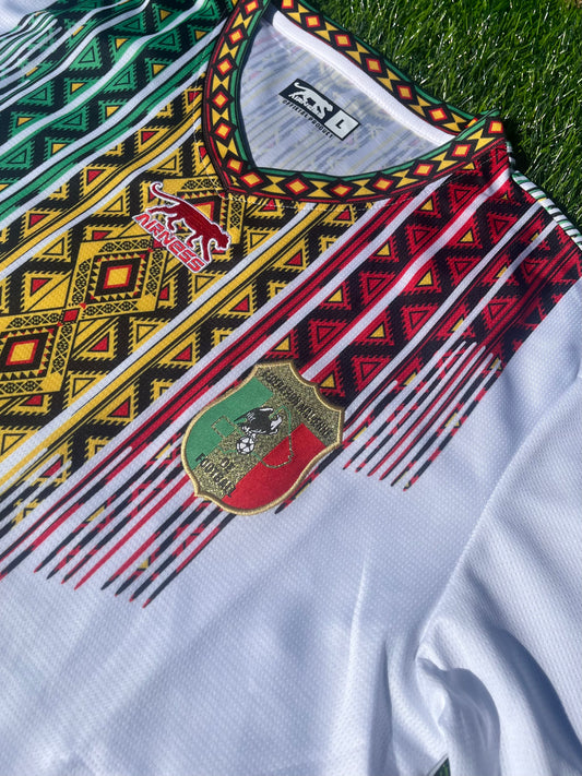 Mali 2026 Home Jersey (Airness)