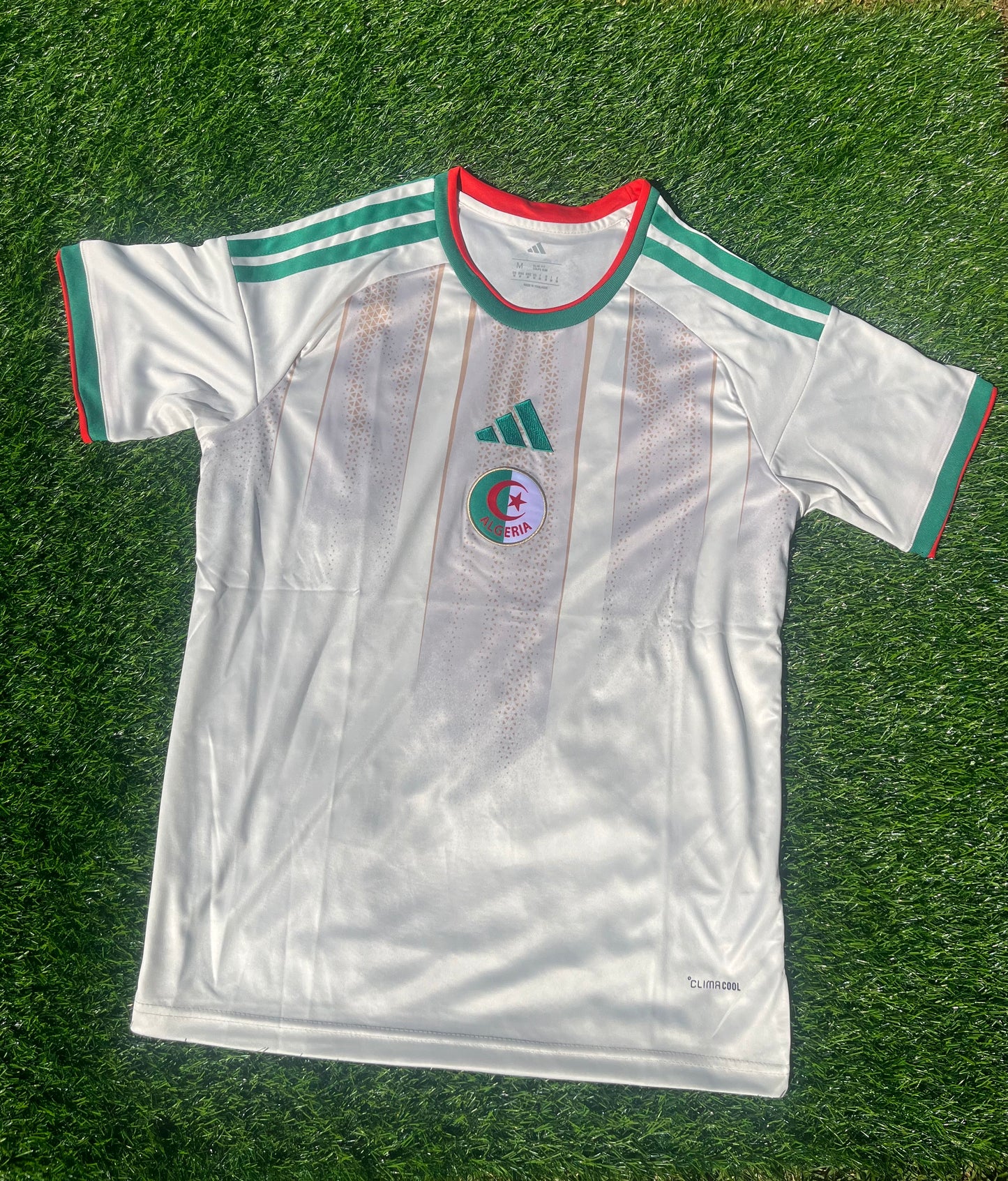 Algeria 2026 World Cup Away Jersey (Adidas)
