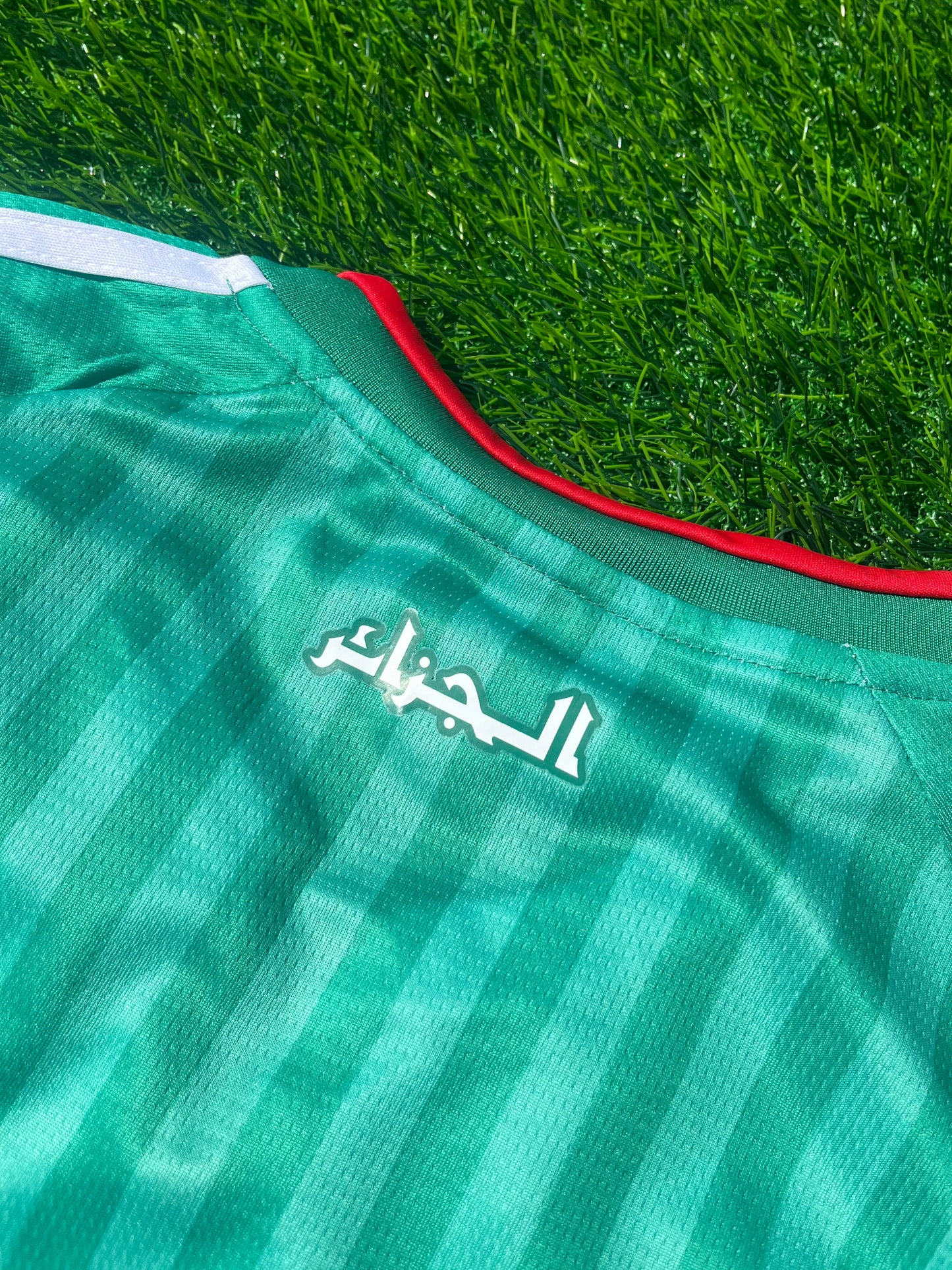 Algeria 2026 World Cup Home Jersey (Adidas)